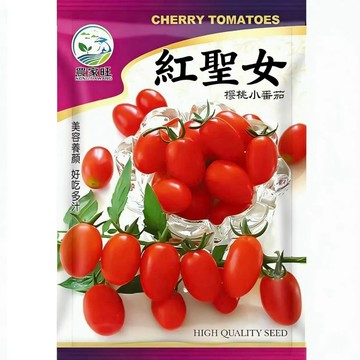 【台灣原裝紅聖女果種子】 家庭菜園 陽台盆栽 自栽自種 非基因改造 新鮮現貨 四季可種 豐產好吃 迷你水果番茄