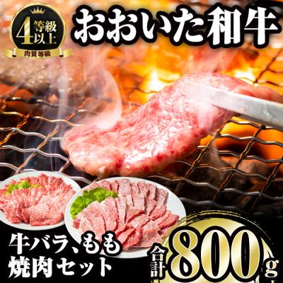 ふるさと納税 佐伯市 おおいた和牛 バラ もも 焼肉 セット (合計800g・バラ400g もも400g)