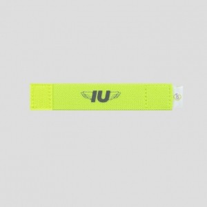 韓果子🍎 [現貨+立即出貨] IU 李知恩 官方手燈帶 韓國代購 韓國直送