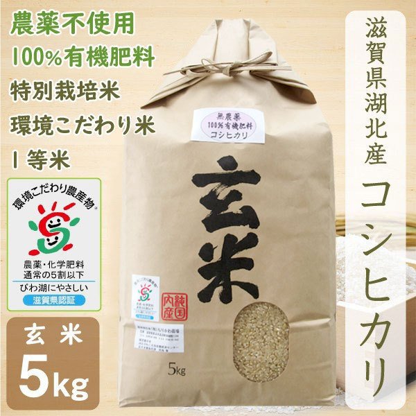 新米 無農薬 コシヒカリ 5kg 令和５年産 玄米 農薬不使用 100％有機