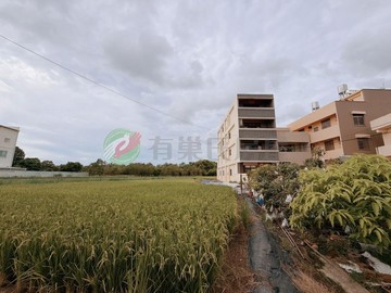 神岡區近潭雅神綠園道鄰5米路方正建地｜台中市神岡區庄前段