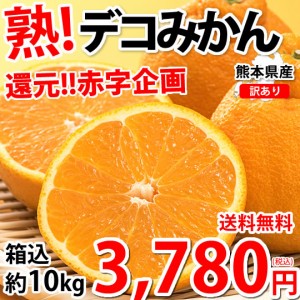 デコポン 同品種 訳あり デコみかん 10kg 箱込 (内容量9kg 補償分500g) 送料無料 熊本県産 フルーツ お取り寄せ みかん ミカン 蜜柑 不知