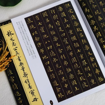 免運費🚀林文忠公正楷小字楷書臨帖練習林則徐小楷毛筆書法字帖臨摹法帖🔥XSF
