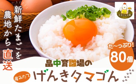 畠中育雛場のげんきタマゴん 80個 《30日以内に順次出荷(土日祝除く)》福岡県 鞍手郡 小竹町 卵 送料無料 有限会社畠中育雛場