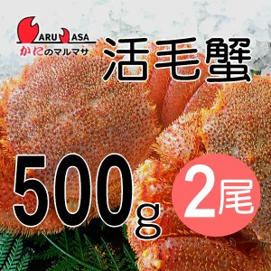 かにのマルマサ お取り寄せ ギフト 毛ガニ毛蟹 堅蟹 カニ通販 海産物 道産品