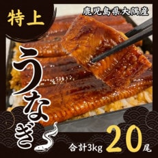 鹿児島県大隅産うなぎ蒲焼20尾(計3kg)727-1