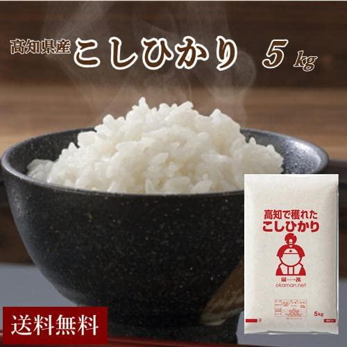 お米 令和4年産 5kg 高知県産コシヒカリ 米 5kg