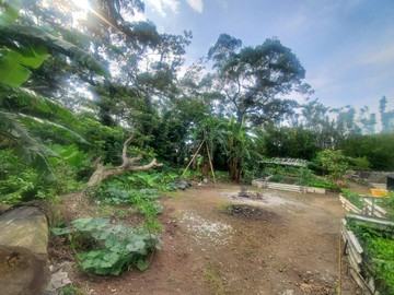 H242天元宮旁平坦農地｜新北市淡水區天元段