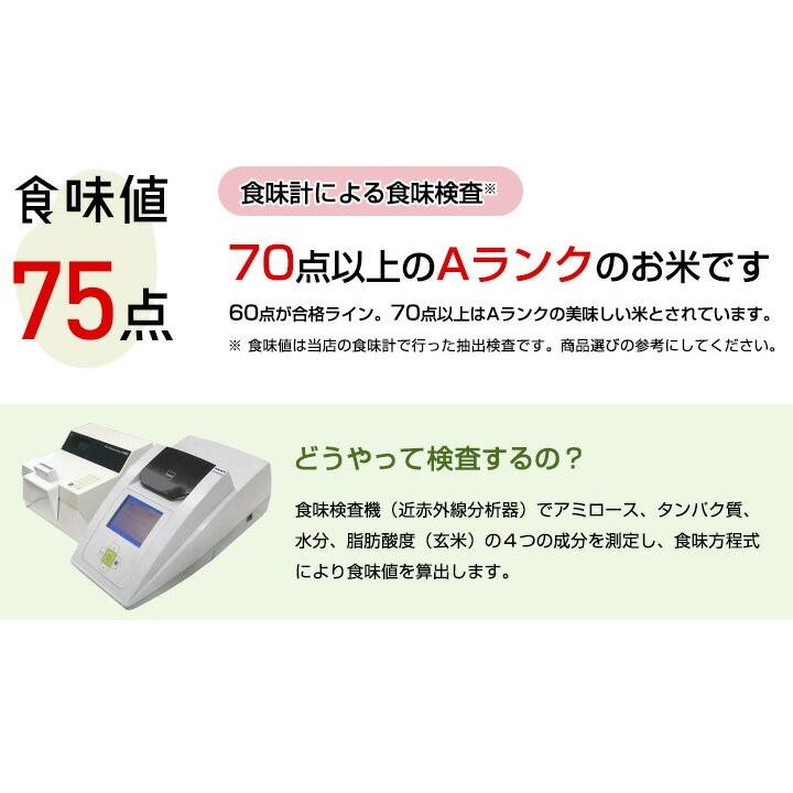 新米　お米 2kg 送料無料 さがびより 佐賀県産　令和5年度 2kg