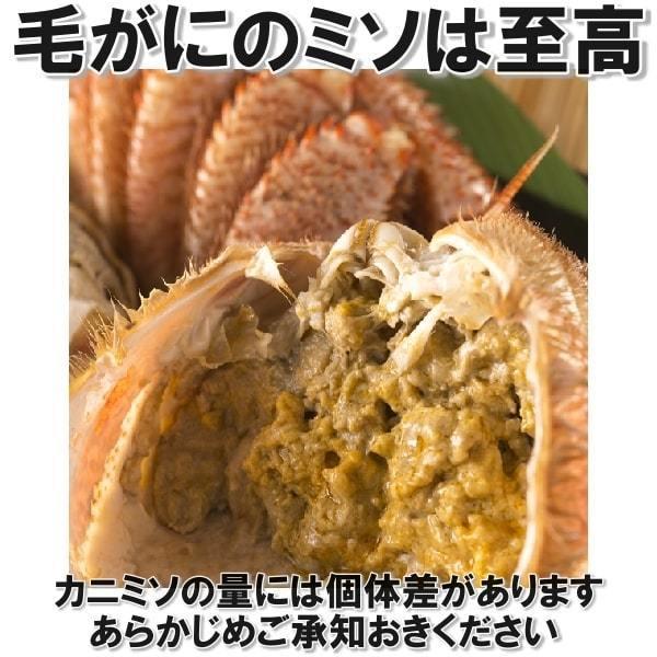 毛ガニ １kg （２尾） 北海道産 生食用 ボイル  1尾が約500g 堅蟹 身入り しっかり