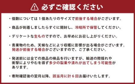 くまもとの柑橘定期便 不知火 デコポン 温室みかん 一番出荷早生みかん 完熟温州みかん