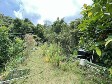 超低總價土地稀有釋出保值最佳/豐原區國道四號旁｜台中市豐原區鳳山段