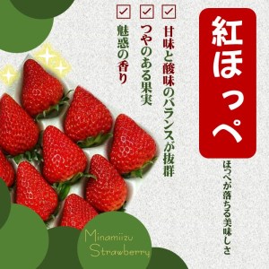 完熟いちご300g 4パック（DXパック）紅ほっぺ、よつぼし、恋みのり　から厳選