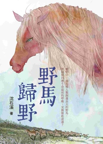 沈石溪長篇力作：野馬歸野【二手書_良好】TAAZE讀冊生活
