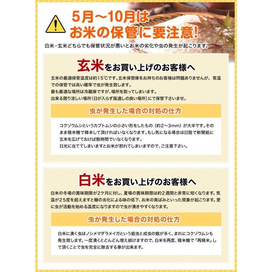 新米 令和5年 米 お米 20kg 新潟県南魚沼産ミルキークイーン 玄米20kg 精米無料 ｜玄米 米 おこめ お米 20kg 送料無料 ｜ LINE友達登録で5%OFFクーポン