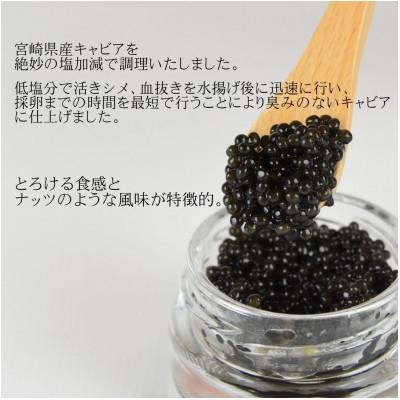 ふるさと納税 国富町 クニトミキャビア10g(10g×1)