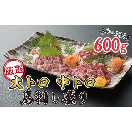 ふるさと納税 数量限定 馬刺し 大トロ 中トロ 600g 豪華絢爛 食べ比べ セット 馬刺 盛り 馬肉 肉 お肉 冷凍 熊本県錦町