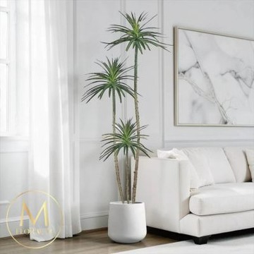 【Floral M】事業有成龍樹180cm大型仿真植栽（贈花盆）(仿真樹/免澆水/室內佈置/辦公室擺設/店面擺設)