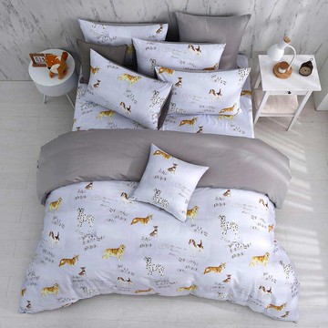 雙人兩用被套加大床包組/美國棉授權品牌 300織/ 瑞奇樂曲 [鴻宇] 台灣製 - 2505