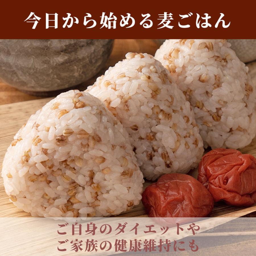 セール 国産 もち麦 2.7kg(450g×6袋) （翌日発送） 無添加 無着色 雑穀 雑穀米 ダイエット 置き換え 食品 食物繊維 送料無料