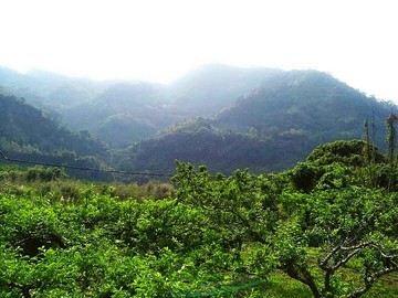 渝瑩好物苗栗大湖休閒農地｜苗栗縣大湖鄉大湖段