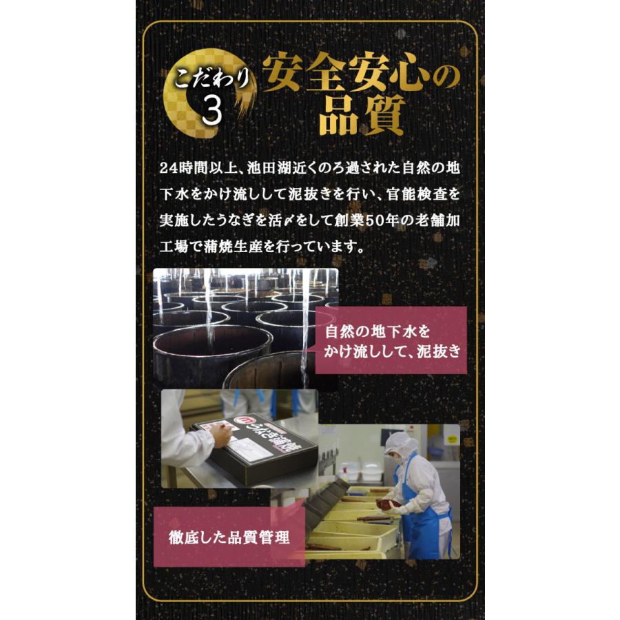 うなぎ 国産 熨斗対応 鹿児島県産 特大うなぎ蒲焼2尾セット（約440g 2尾） 200g以上の特大うなぎ 2尾入 丑の日 土用丑 土用 かば焼き 鰻 あかまる専稼