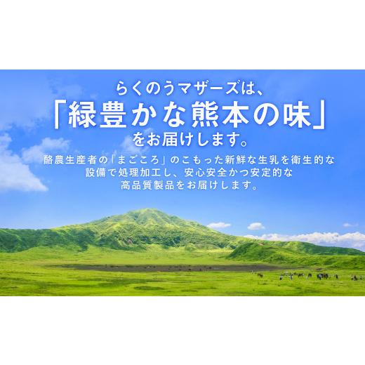 ふるさと納税 熊本県 益城町 大阿蘇 牛乳 24本 250ml×24本 1ケース 生乳 成分無調整