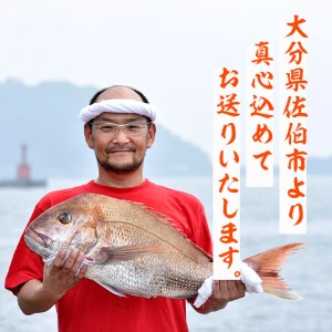 天然 鮮魚詰め合わせ (合計約2.8-3.2kg・3種以上) 直送 産直 漁師 魚 鮮魚 天然 マダイ 鯛 マアジ 鯵 イサキ サバ 鯖 ブリ 鰤 獲れたて 刺身 煮つけ 塩焼き 冷蔵 豊後水道 鮮魚