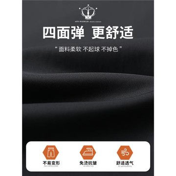 休閑褲子男士秋冬款黑色正裝西裝褲2025新款彈力直筒加絨商務西褲