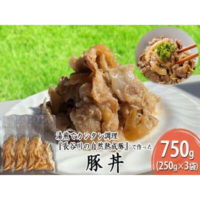 ふるさと納税 豚丼　750g（250g×3袋）肉 青森県鰺ヶ沢町