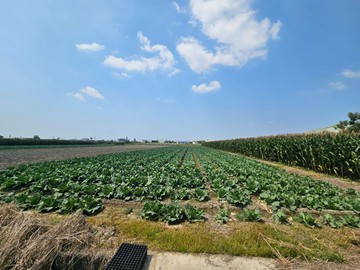 善化建業路臨路511坪開心農場｜台南市善化區六分寮段