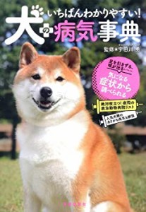 いちばんわかりやすい!犬の病気事典(中古品)