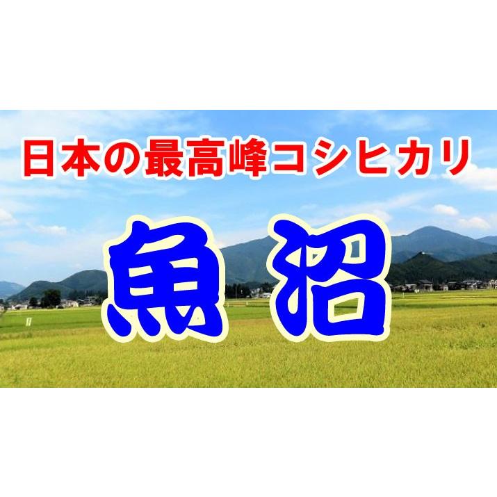 新米 令和5年産 特別栽培米 5kg 新潟県 魚沼産 コシヒカリ 玄米 白米 7分づき 5分づき 3分づき 出荷日精米  送料無料