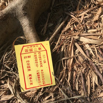 明信片 | #31 車公靈簽