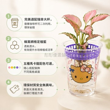 台灣出貨 水培支架 鏤空設計 適配咖啡杯 植物定植 種植器皿 家用園藝 種花種菜 多組合可選