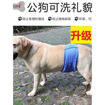 公狗生理褲男狗狗尿不濕禮貌帶法斗泰迪金毛大型犬內褲寵物安全褲