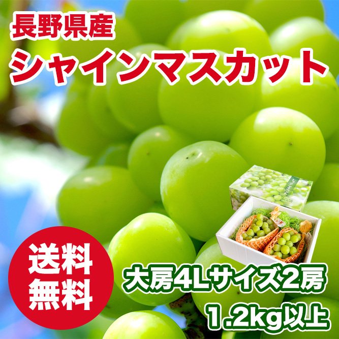 長野県産 シャインマスカット 大房4Lサイズ2房入 1.2kg以上 秀品 化粧箱入 贈答用 通販 LINEポイント最大0.5%GET |  LINEショッピング