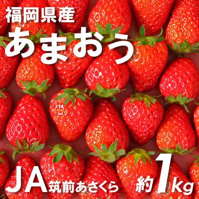 ふるさと納税 朝倉市 福岡県産「あまおう」250g×4パック