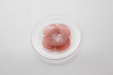 花芯粉影玻璃小盤