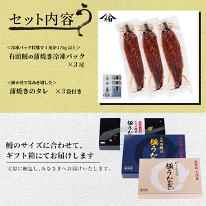 楠田の極うなぎ　蒲焼き170ｇ以上×3尾(計510ｇ以上） b2-018