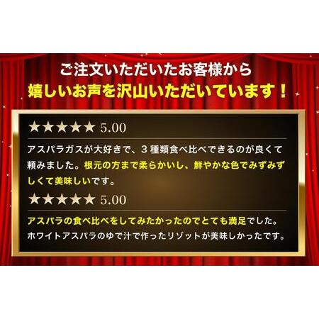 ふるさと納税 アスパラガス3色セット 1kg 香川県東かがわ市