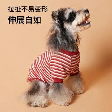 狗狗衣服秋冬新款比熊泰迪雪納瑞小型犬寵物加厚保暖馬甲防掉毛