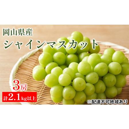 ふるさと納税 ぶどう 2024年 先行予約 シャイン マスカット 3房 合計2.1kg以上 マスカット ブドウ 葡萄  岡山県産 国産 フルーツ 果物 ギフト 岡山県高梁市