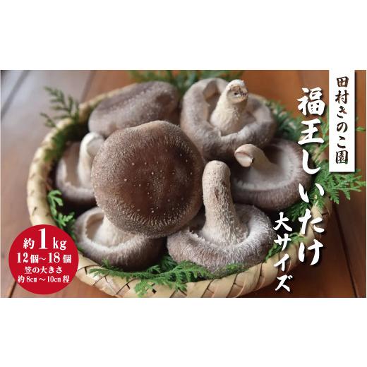 ふるさと納税 茨城県 笠間市 福王しいたけ 大サイズ 約1kg