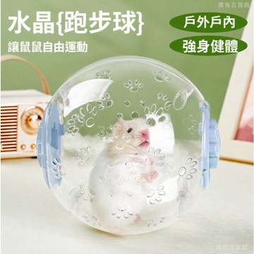 🔥臺灣出貨🔥倉鼠跑球 金絲跑球 靜音運動滾輪 倉鼠滾球 水晶籠 外出便 倉鼠用品 倉鼠玩具 不卡腳跑輪