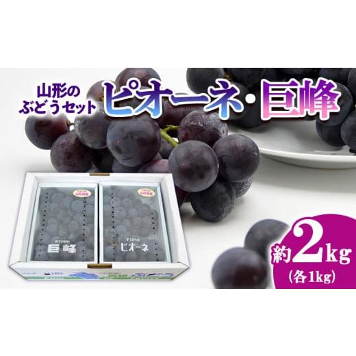 ふるさと納税 山形県 山形市 山形のぶどうセット 秀品 約2kg(ピオーネ約1kg2房前後・巨峰約1kg2房前後)[9月中旬〜10月中旬お届け] FS23-…