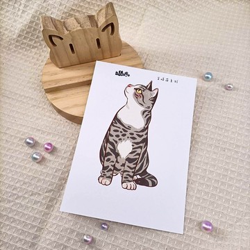 ME183-66_我紙在乎你百喵萌明信片_postcard