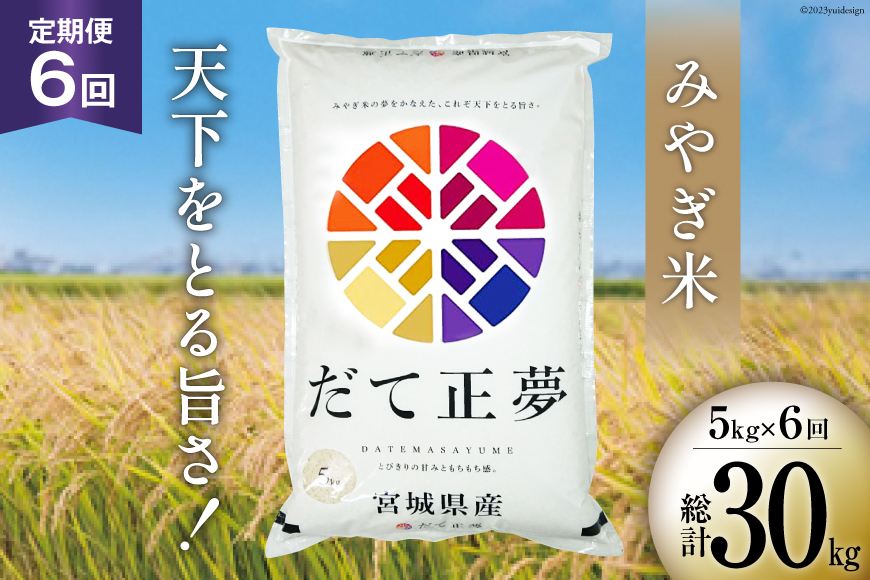 お米 6回 定期便 みやぎ米 だて正夢 5kg×6回 総計30kg [菊武商店 宮城県 気仙沼市 20562743]