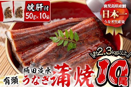 楠田の極うなぎ蒲焼き 230g以上×10尾(計2.3kg以上) 焼肝10袋付き wa24-004