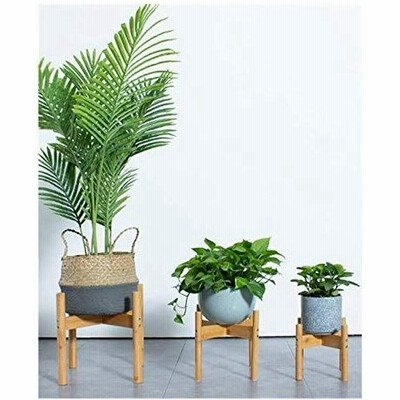植物 台 植木の通販 1件の検索結果 Lineショッピング